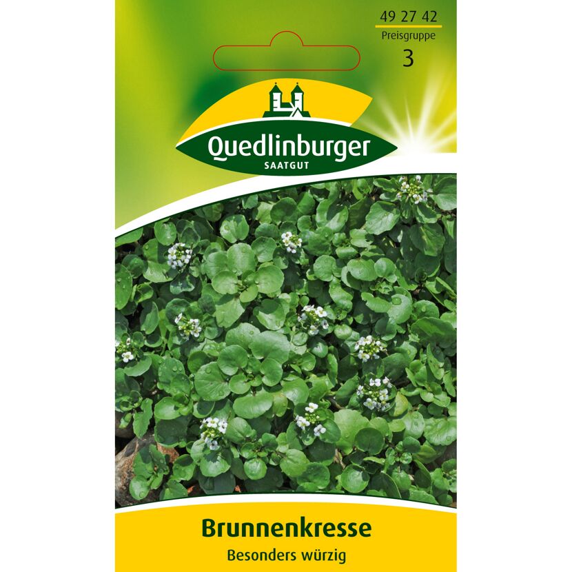 Brunnenkresse Saatgut von Quedlinburger
