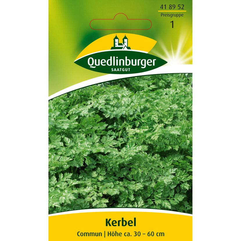 Kerbel Commun von Quedlinburger Saatgut