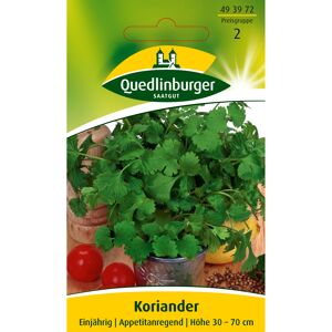 Koriander 'Thüringer'
