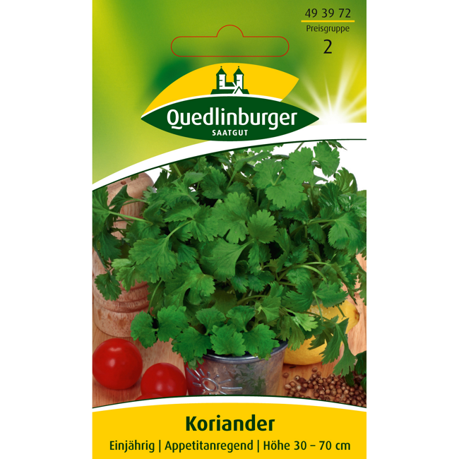 Bild von Koriander 'Thüringer'