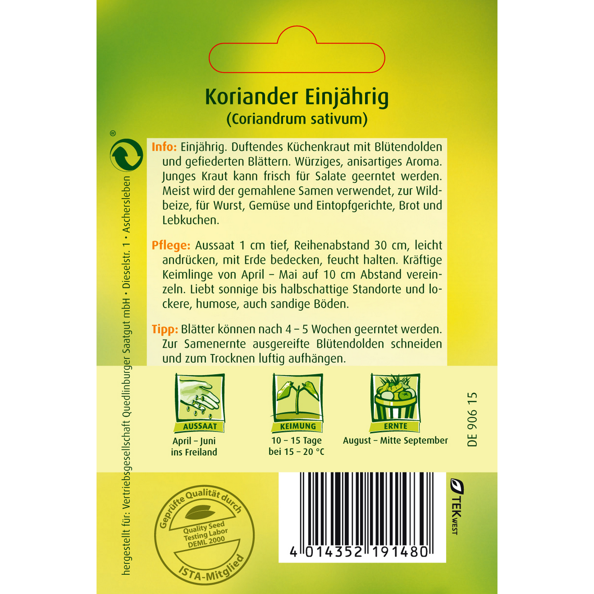 Koriander 'Thüringer' + product picture