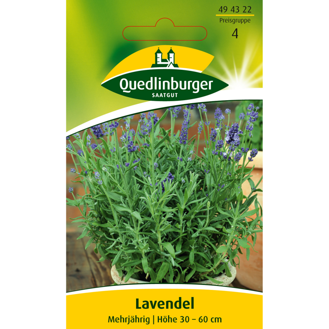 Bild von Lavendel mehrjährig