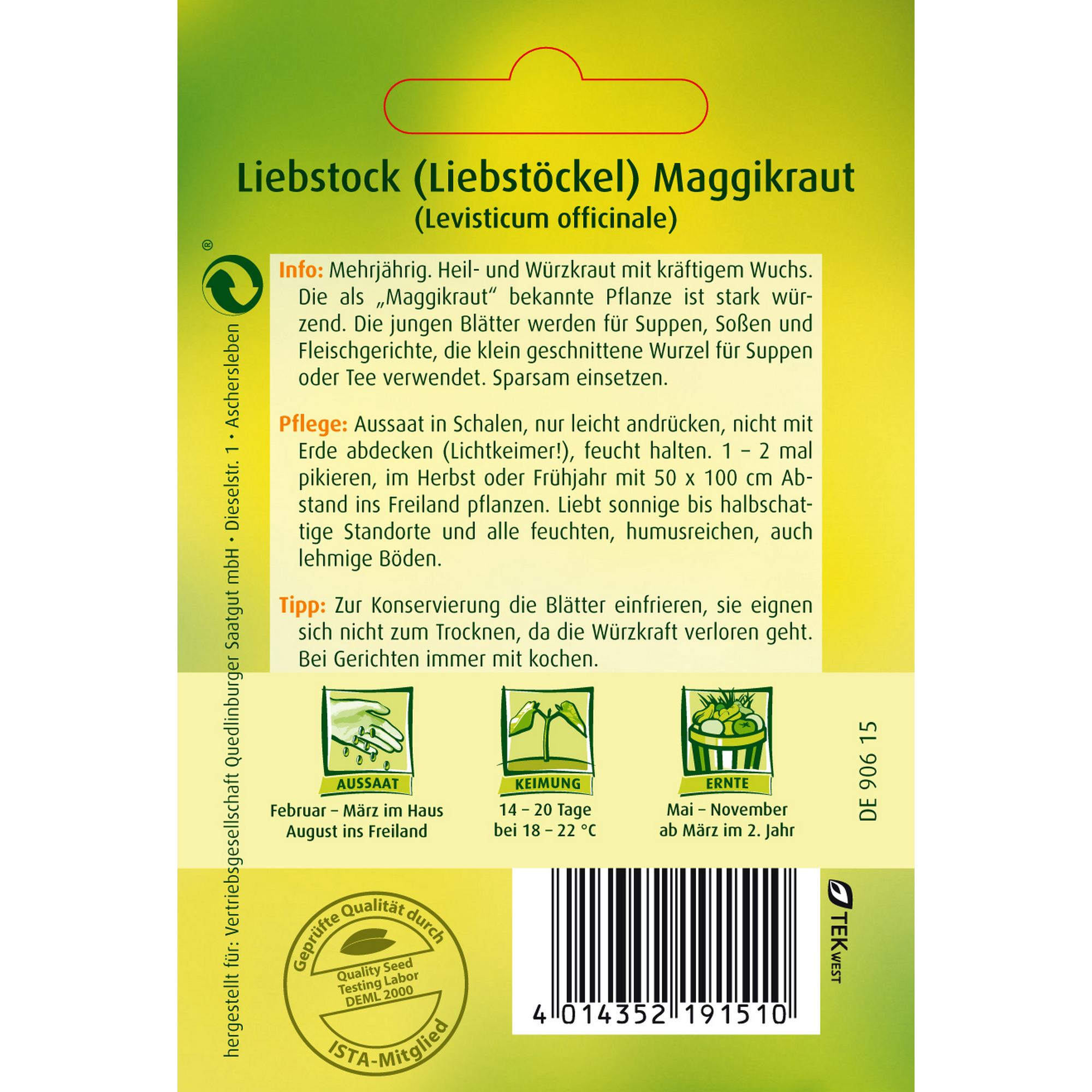 Liebstock Maggikraut + product picture