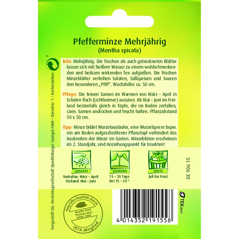 Pfefferminze mehrjährig, Samenpackung