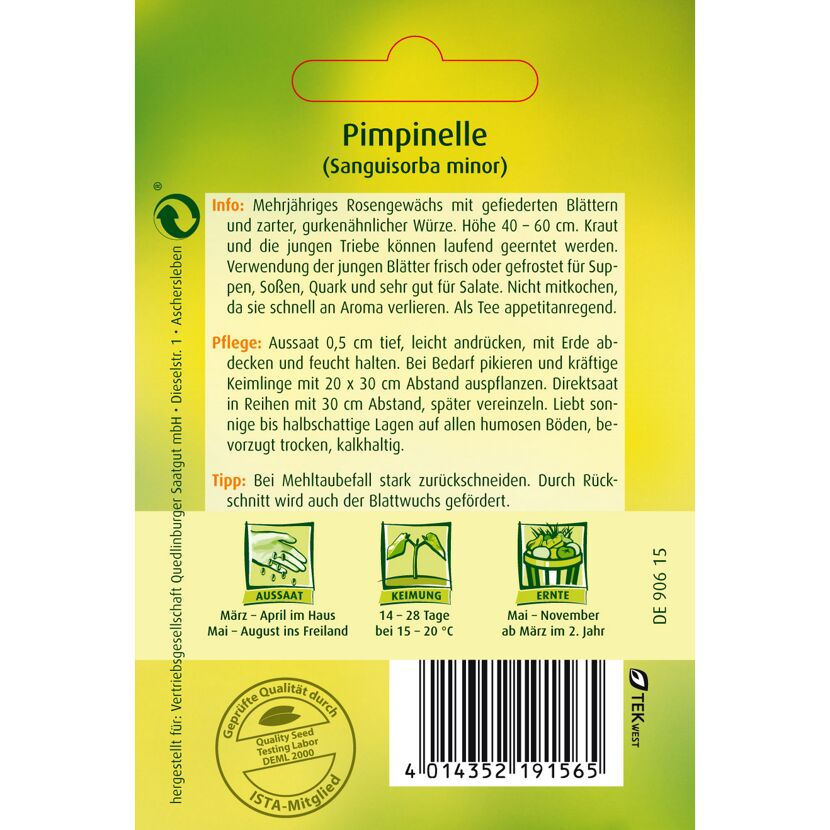 Pimpinelle-Samen von Quedlinburger