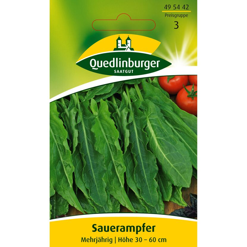 Sauerampfer Saatgut Quedlinburger