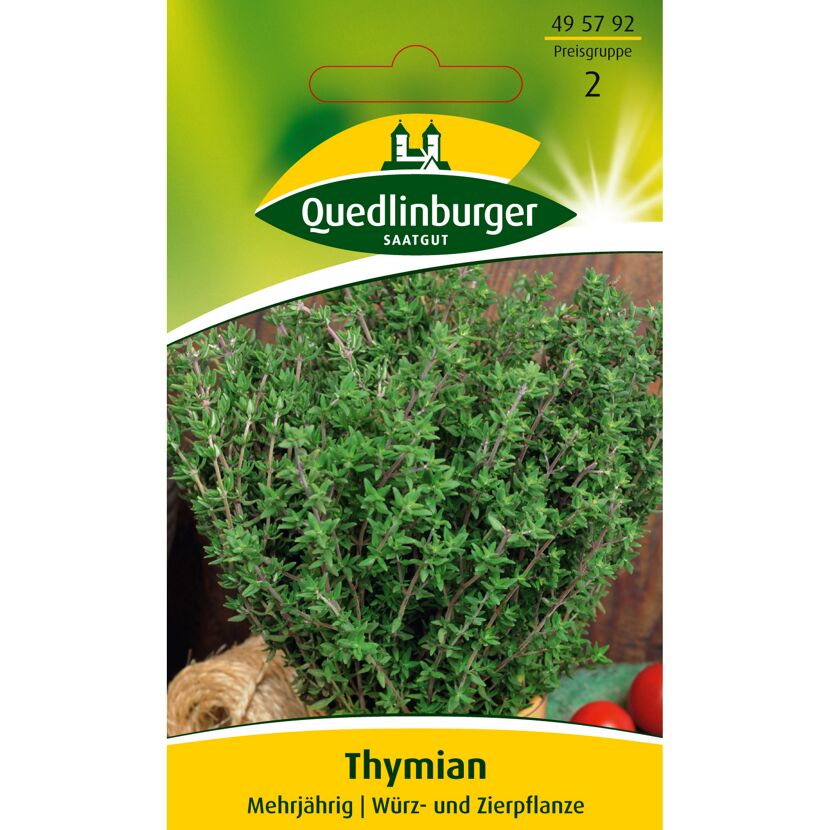 Thymian, mehrjährig