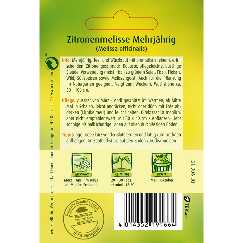Zitronenmelisse mehrjährig, Aussaat, Keimung, Ernte