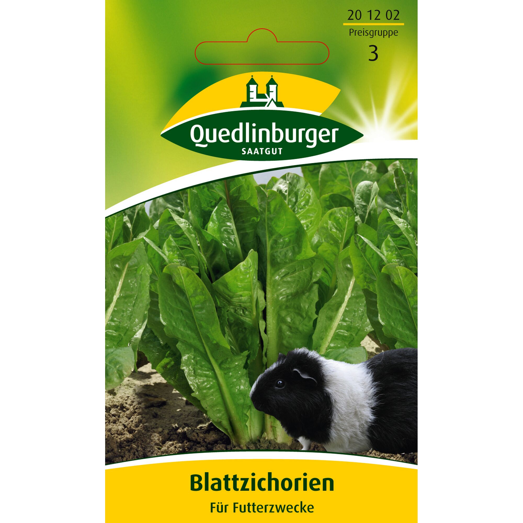 Blattzichorien für Futterzwecke. Ein Meerschweinchen frisst die Blätter.