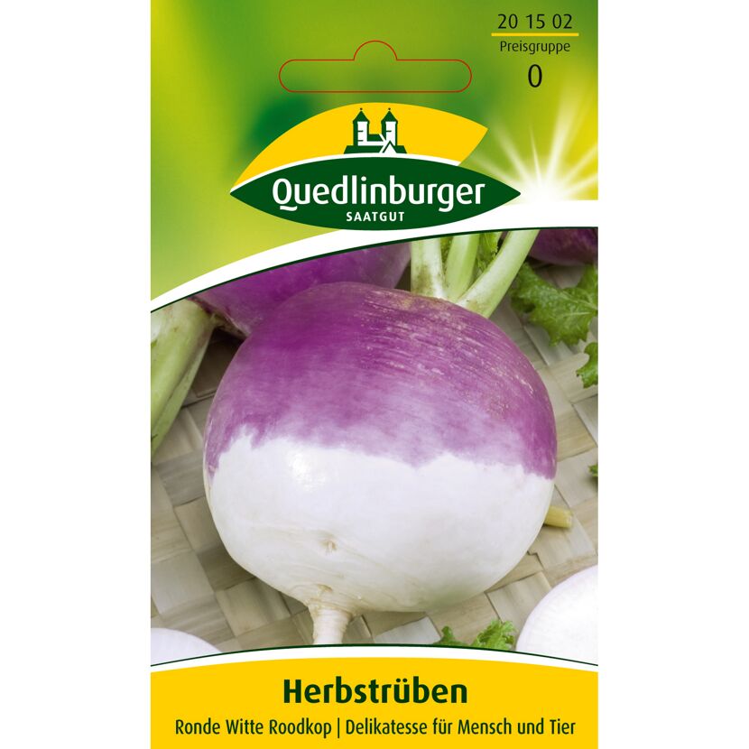 Herbstrüben, Ronde Witte Roodkop von Quedlinburger Saatgut