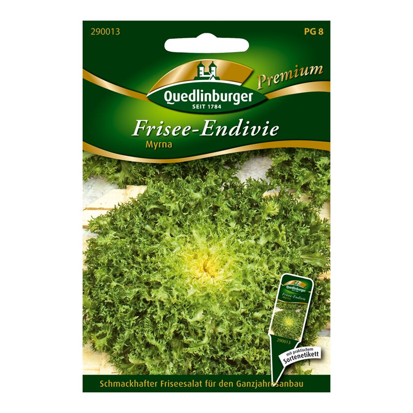 Frisee-Endivie "Myrna" 25 Stück