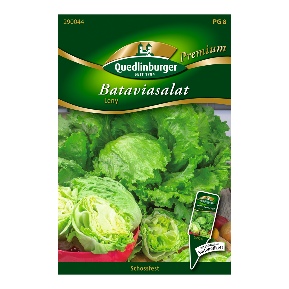 Bataviasalat "Leny" 100 Stück + product picture
