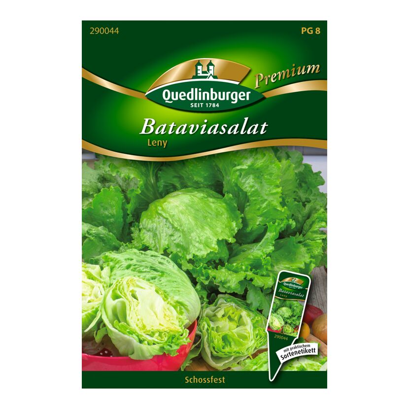 Bataviasalat "Leny" 100 Stück