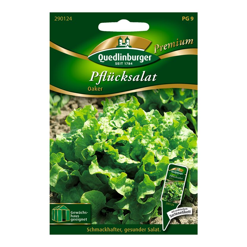 Pflücksalat "Oaker"