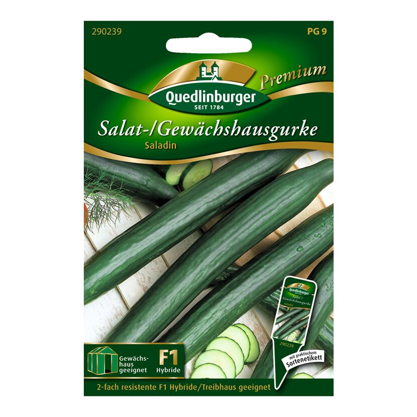 Gewächshausgurke "Saladin"