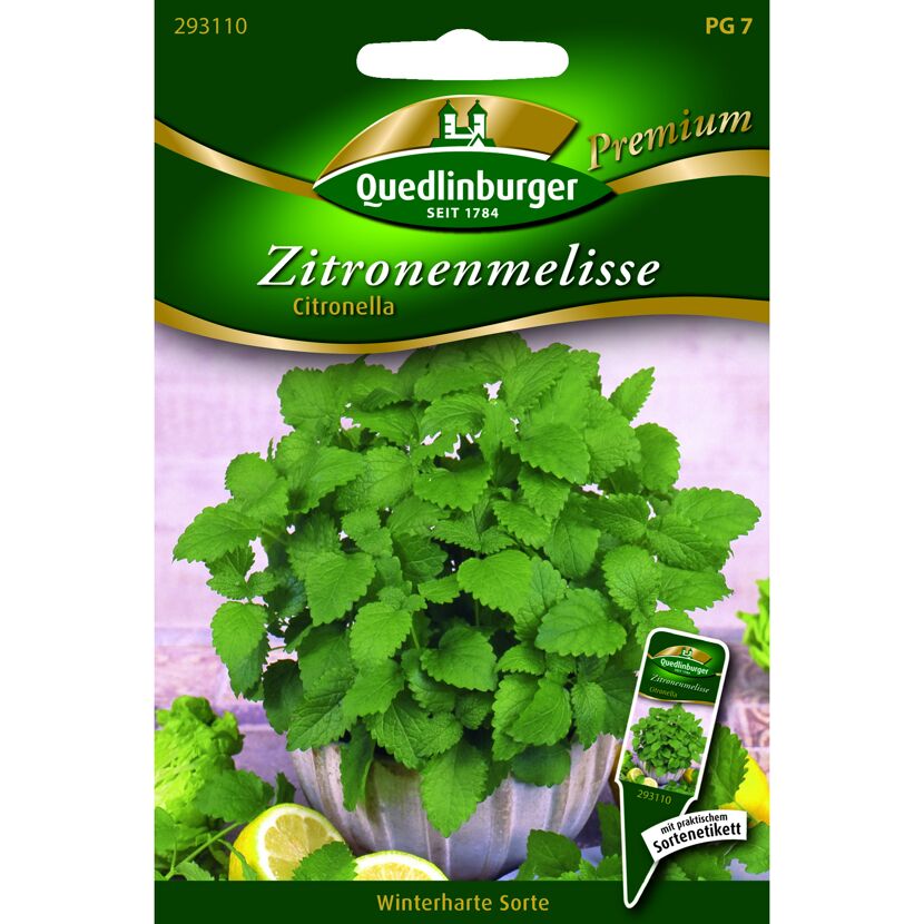 Premium Zitronenmelisse 'Citronella'