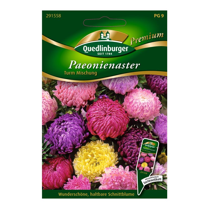 Paeonien-Aster "Turm-Mischung" 100 Stück