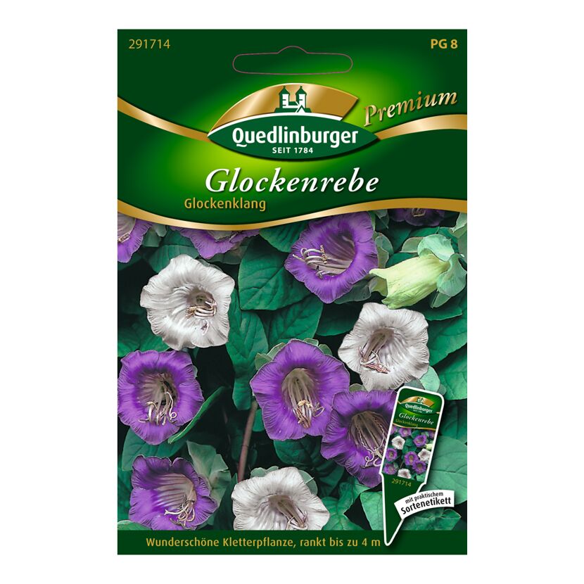 Glockenrebe "Glockenklang"
