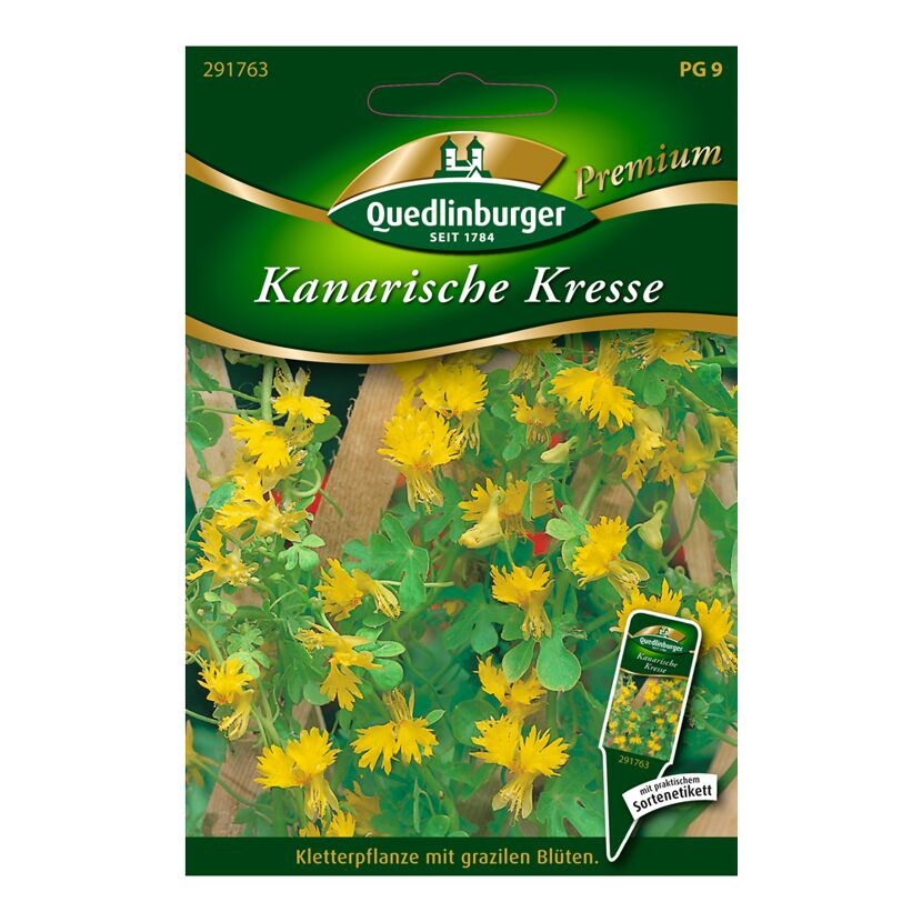 Kanarische Kresse Samen von Quedlinburger