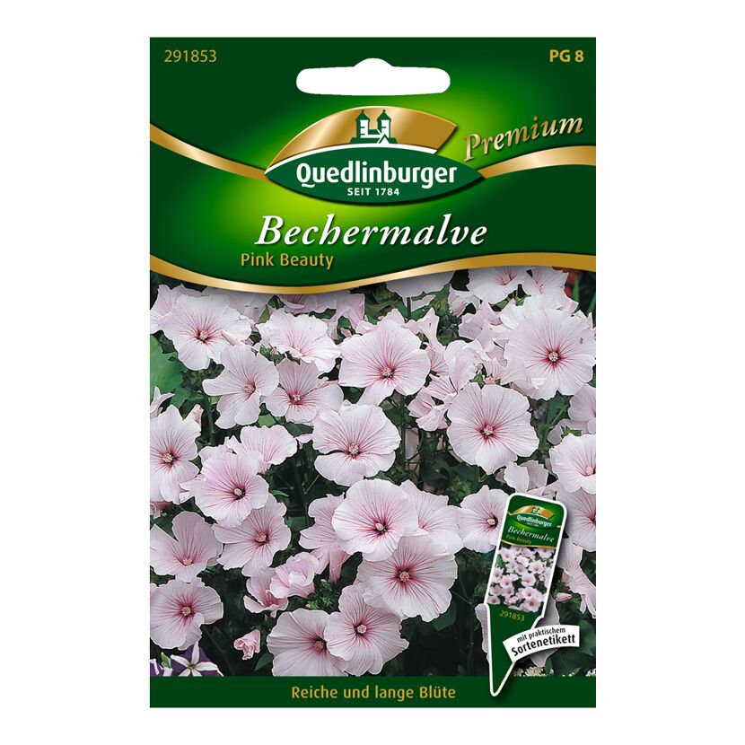 Bechermalve "Pink Beauty" 30 Stück