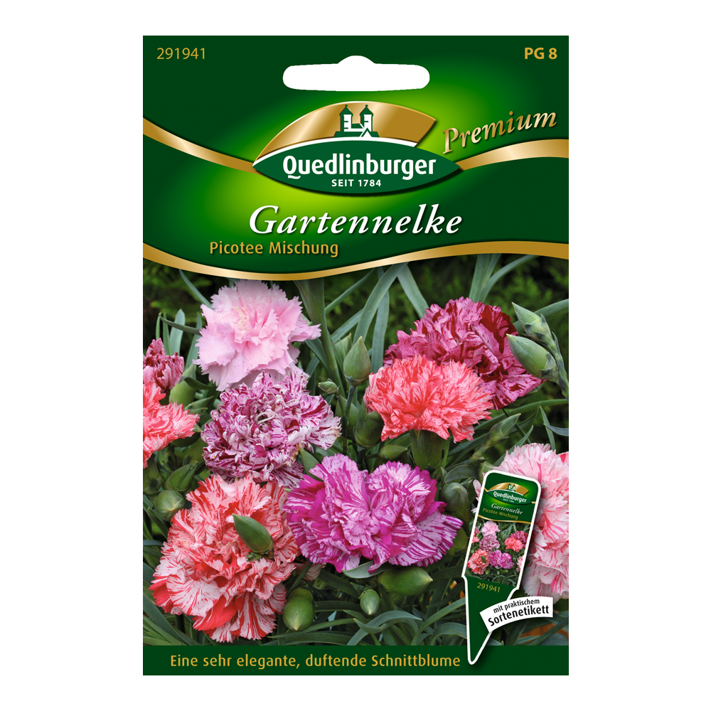 Gartennelke "Picotee Mischung" + product picture