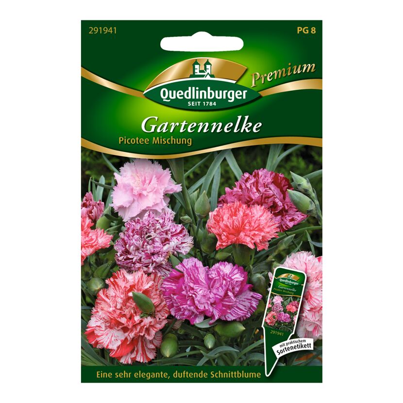 Quedlinburger Gartennelke Picotee Mischung