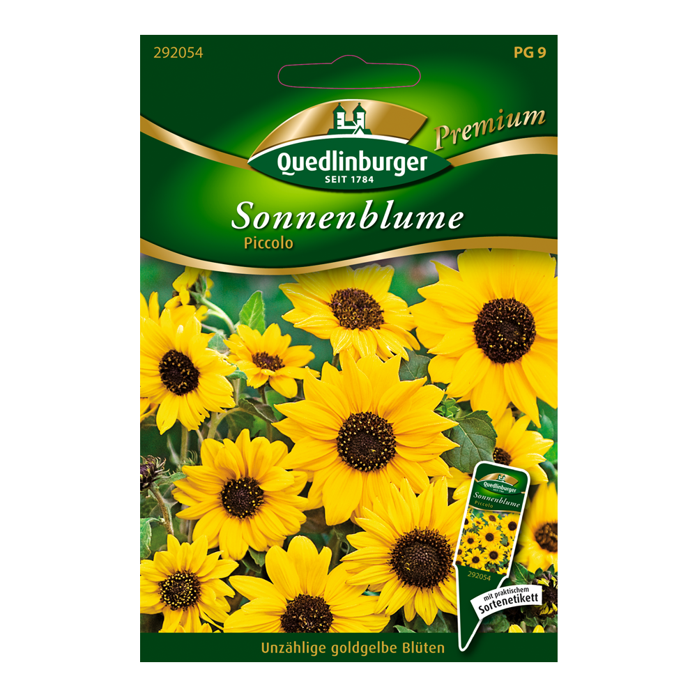 Sonnenblume "Piccolo" 80 Stück + product picture