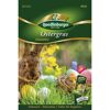 Ostergras Grassamen