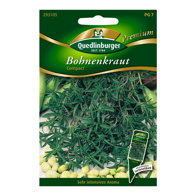 Bohnenkraut "Compact"