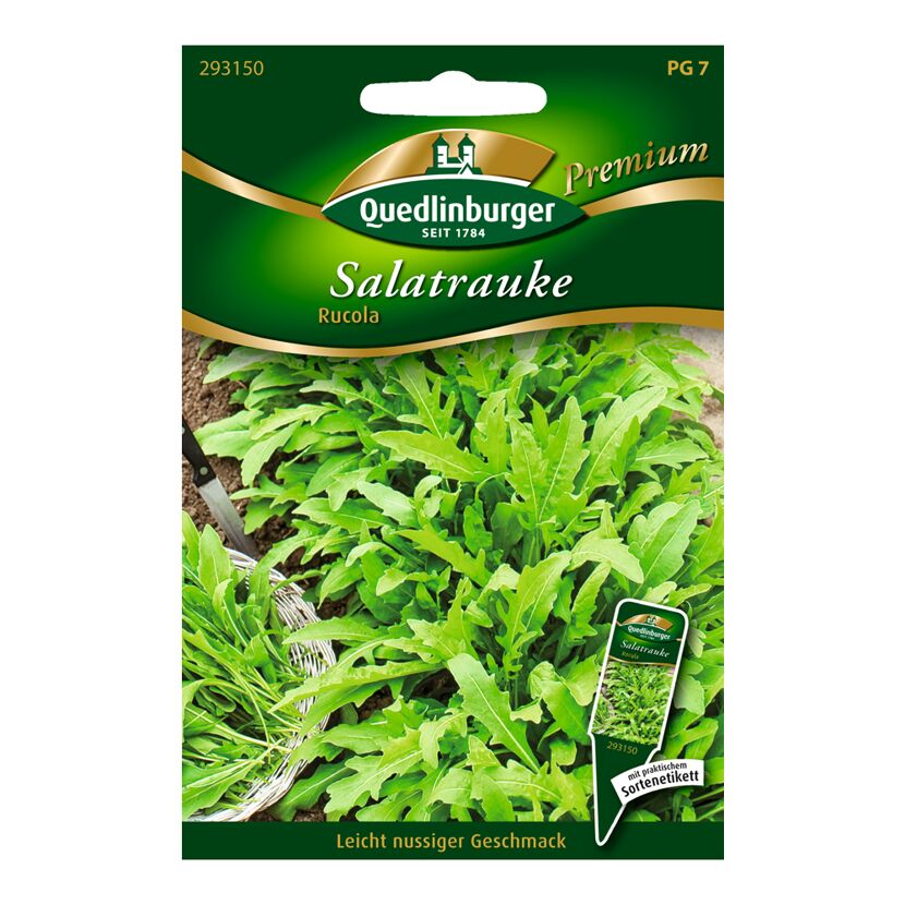 Salatrauke "Rucola"