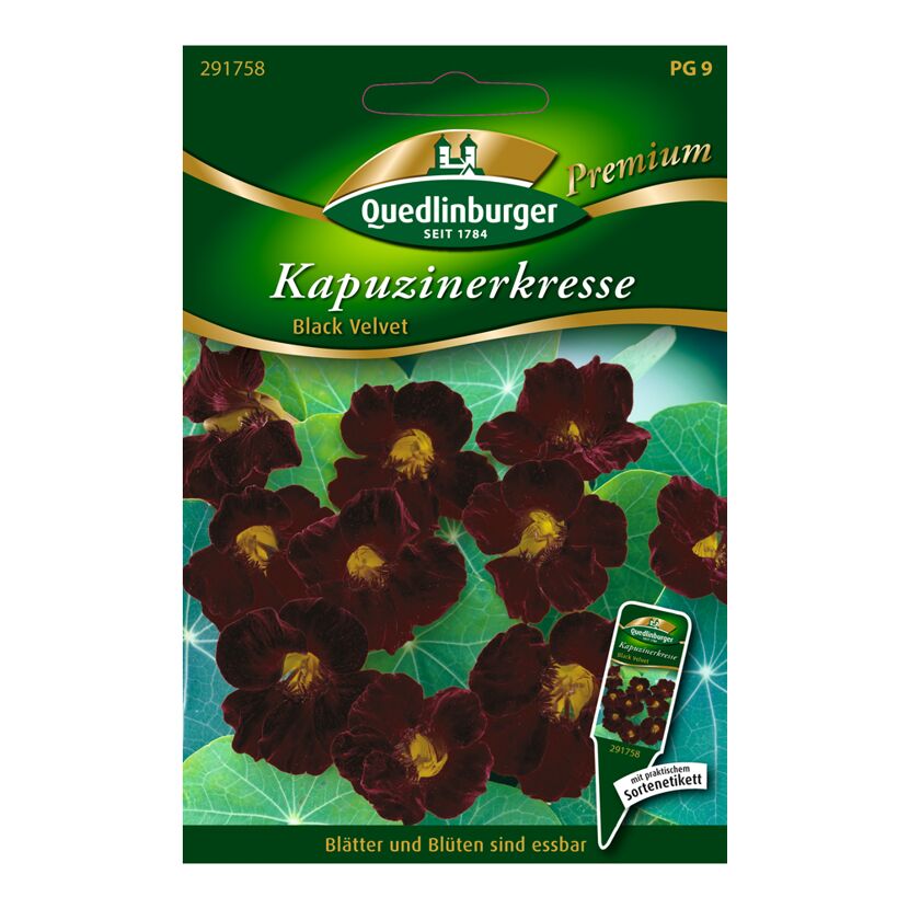 Kapuzinerkresse "Black Velvet"