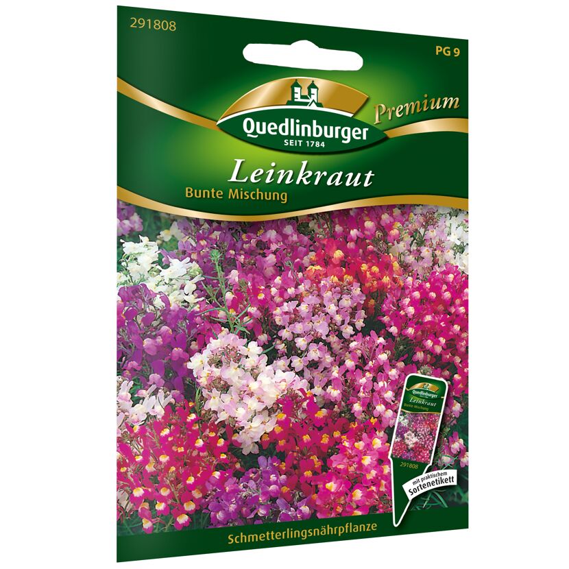 Bunte Mischung von Leinkraut