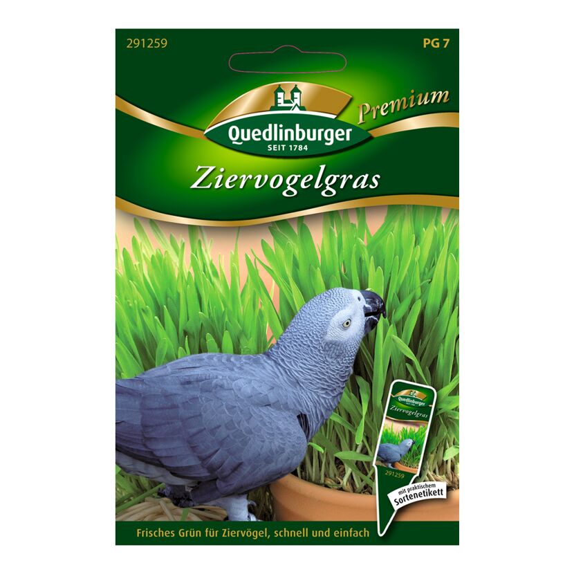 Ziervogelgras