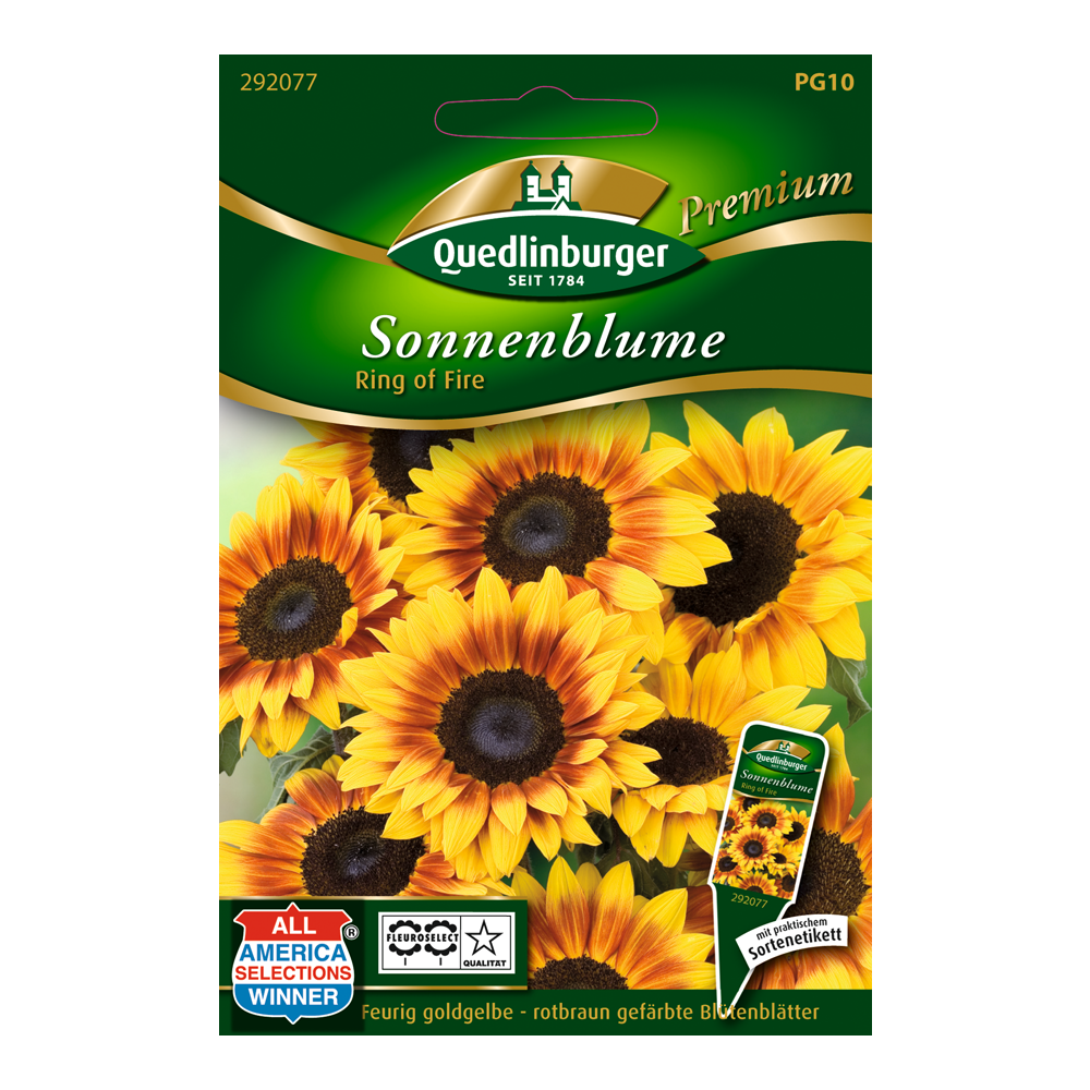 Sonnenblume "Ring of Fire" 15 Stück + product picture