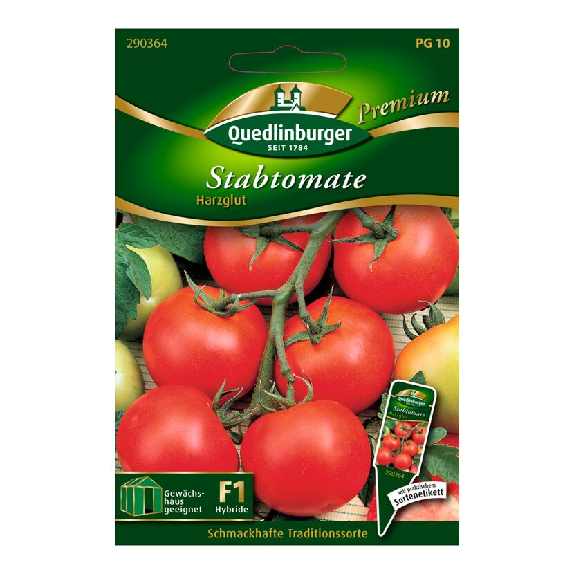 Samen der Quedlinburger Stabtomate Harzglut