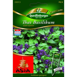 Premium Thai-Basilikum 'Siam Queen'