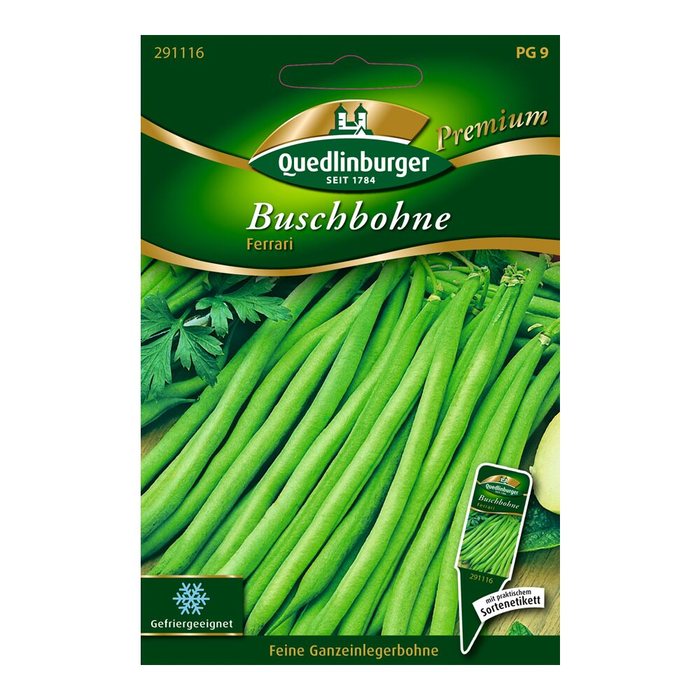 Grüne Buschbohnen der Sorte Ferrari auf einer Samenpackung von Quedlinburger