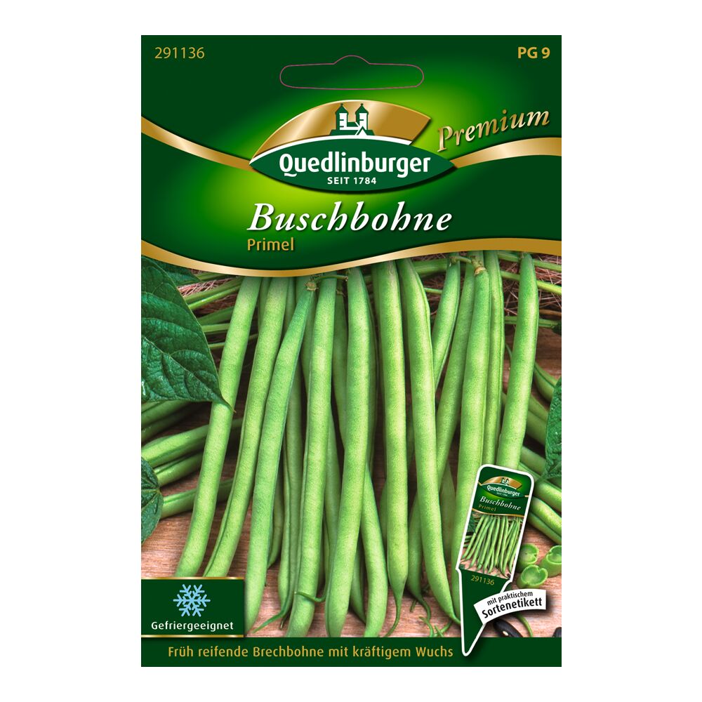 Buschbohnen Primel von Quedlinburger