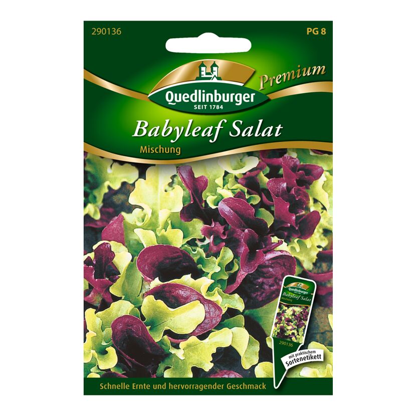 Pflücksalat "Babyleaf Mischung"