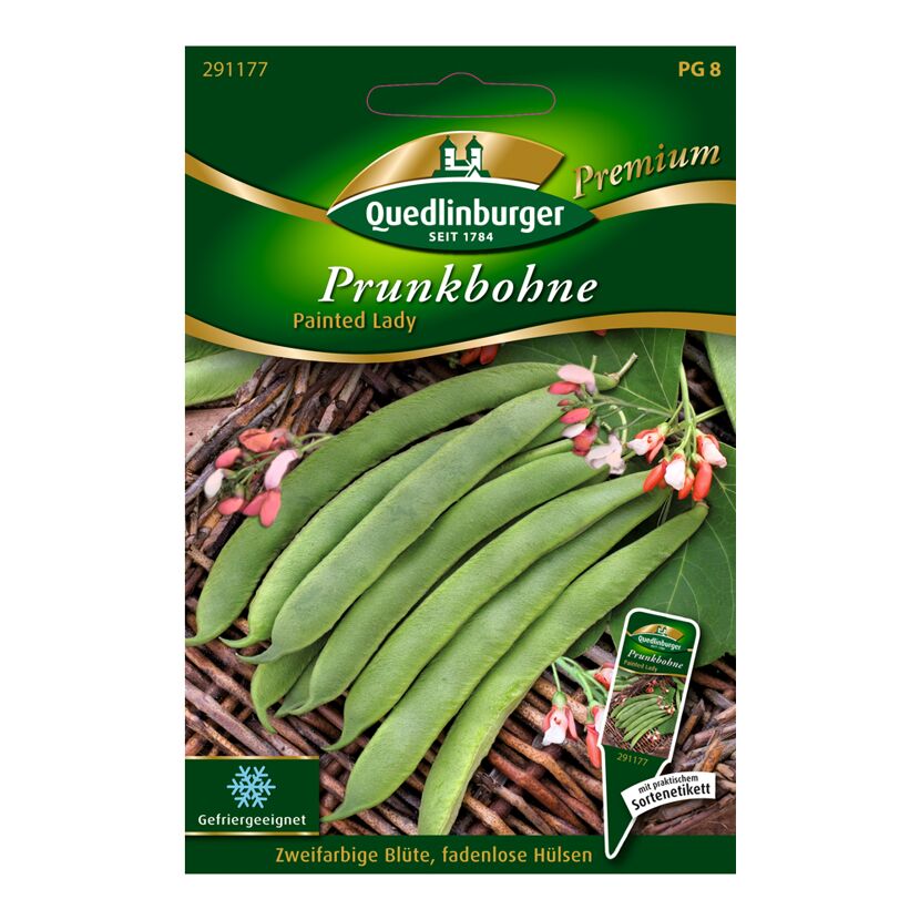 Prunkbohne "Painted Lady"