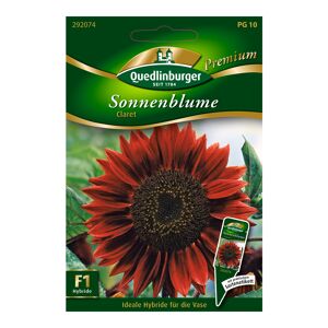 Sonnenblume "Claret" 15 Stück