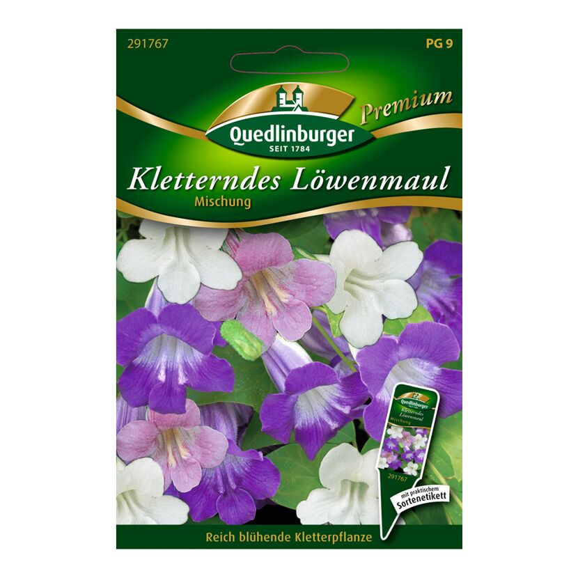 Kletterndes Löwenmaul Mischung