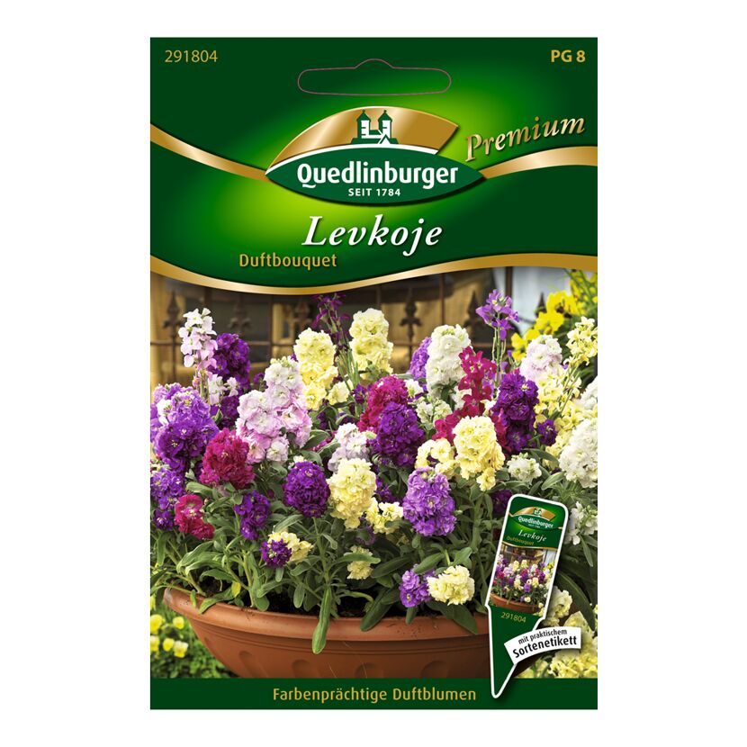 Levkoje "Duftbouquet"