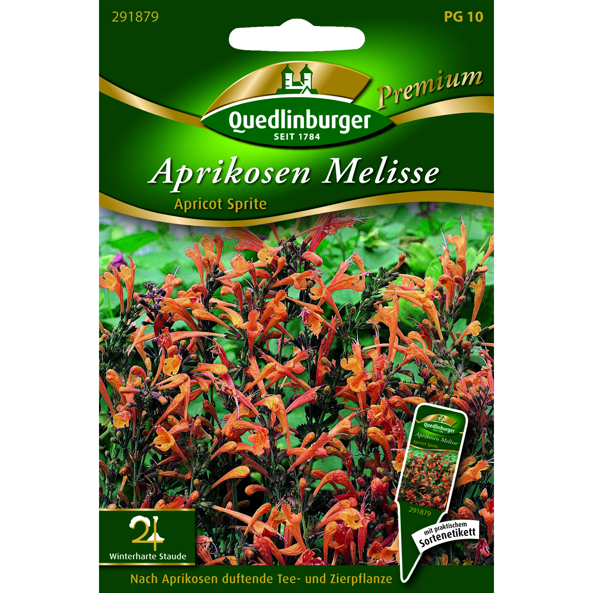 Premium Aprikosen Melisse 'Apricote Sprite' + product picture