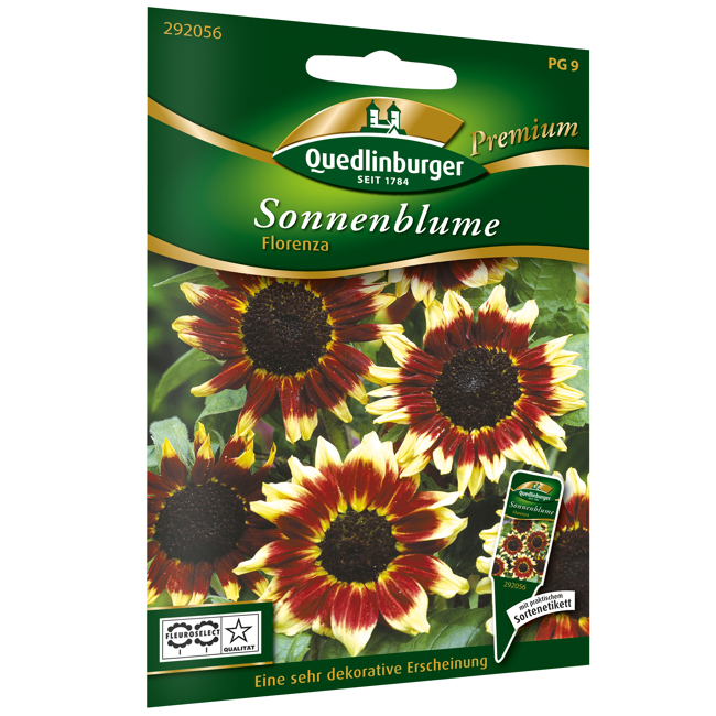 Bild von Sonnenblume 'Florenza'