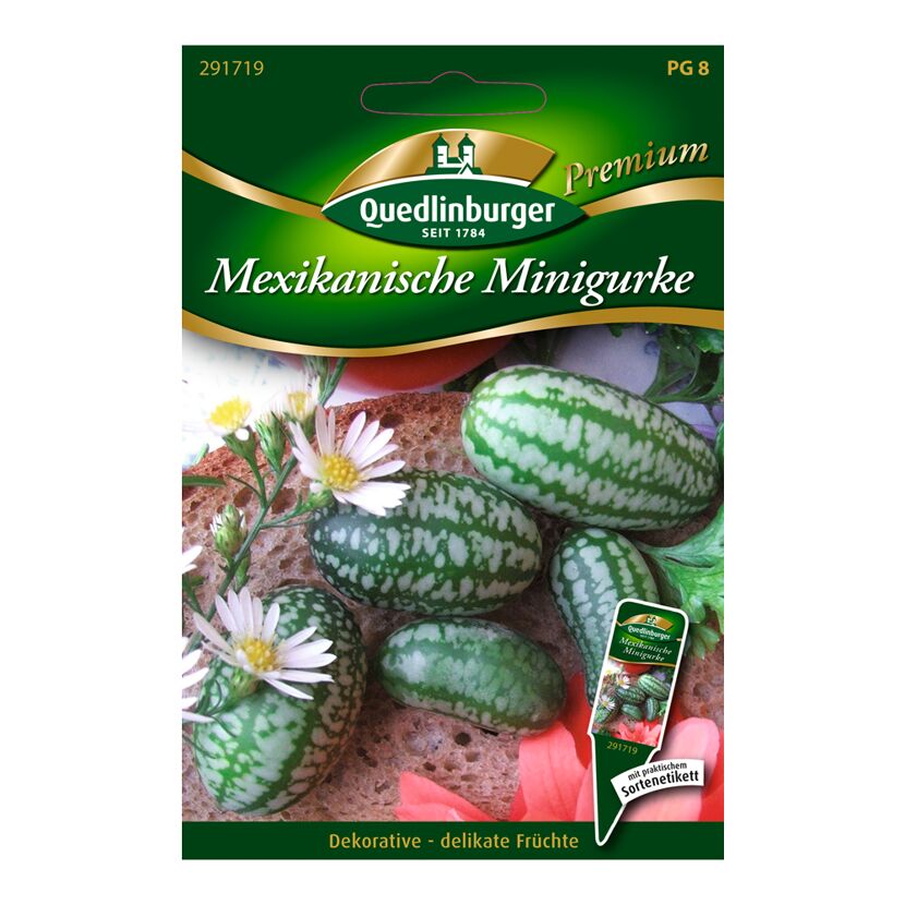 Mexikanische Minigurke