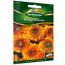 Ringelblume 'Greenheart Orange'