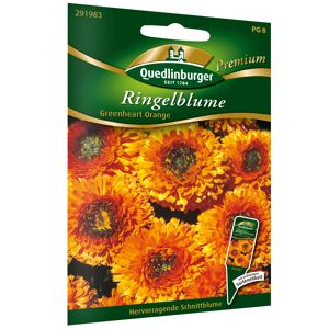 Ringelblume 'Greenheart Orange'