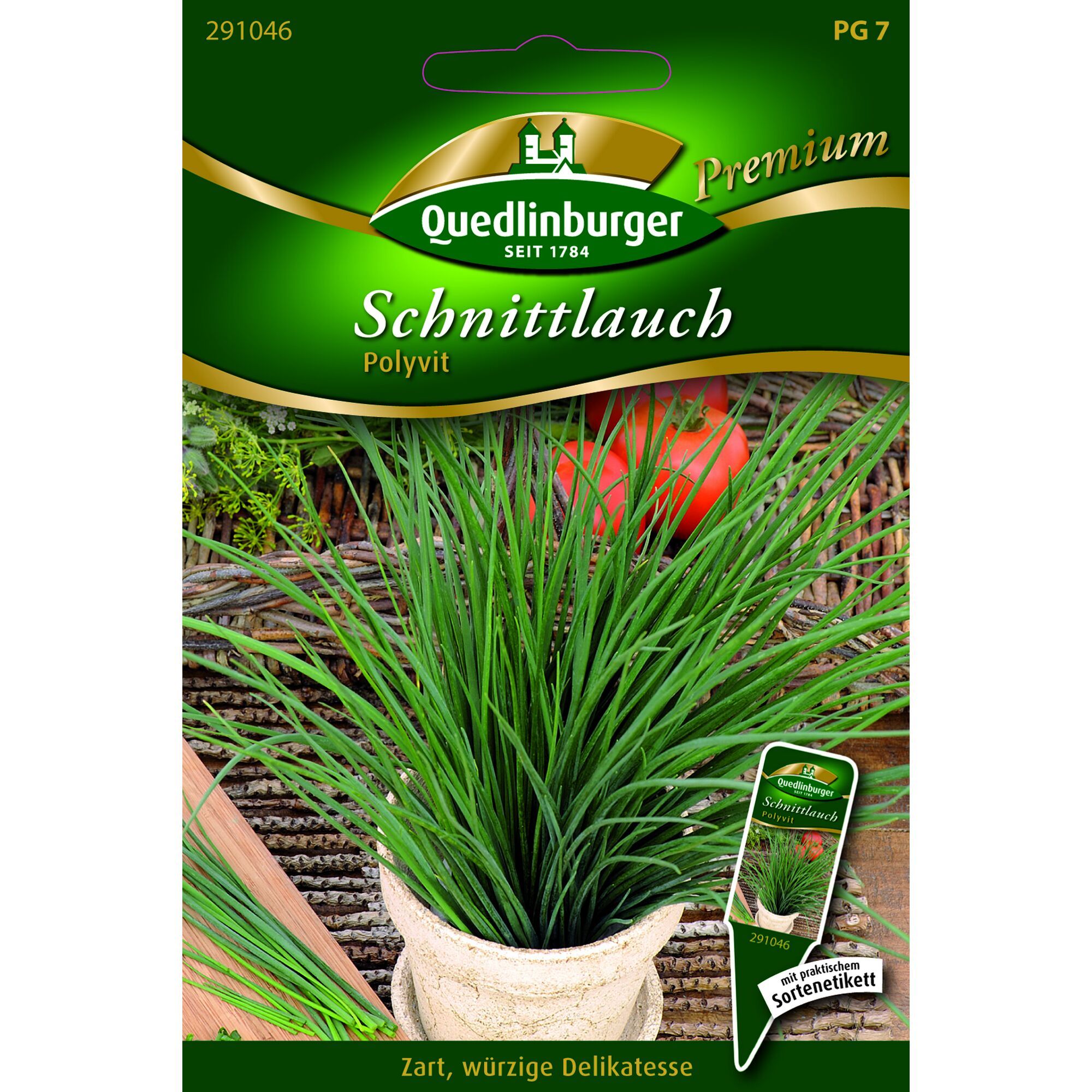 Schnittlauch Polyvit im Topf