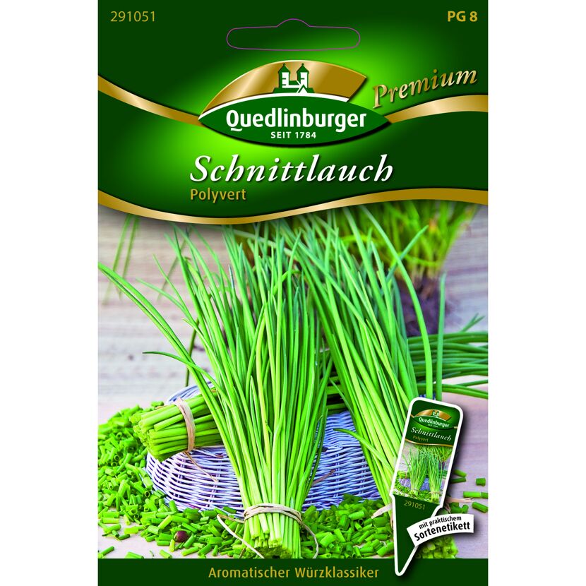 Premium Schnittlauch 'Polyvert'